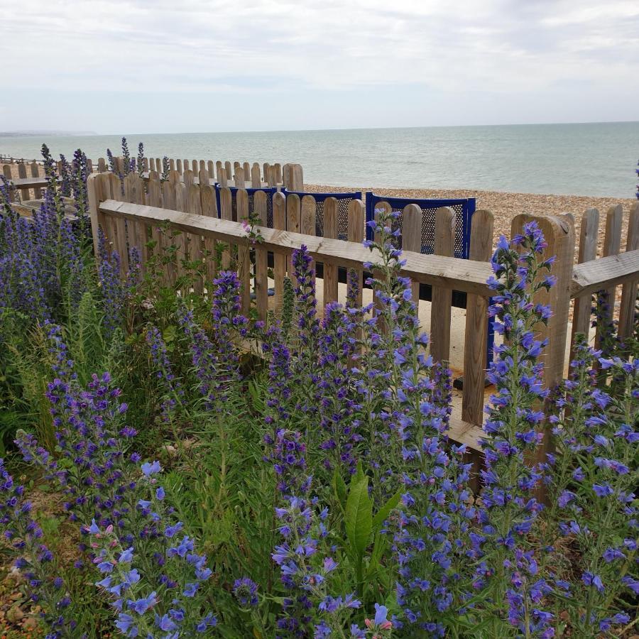 Beachfront Studio Pevensey Εξωτερικό φωτογραφία